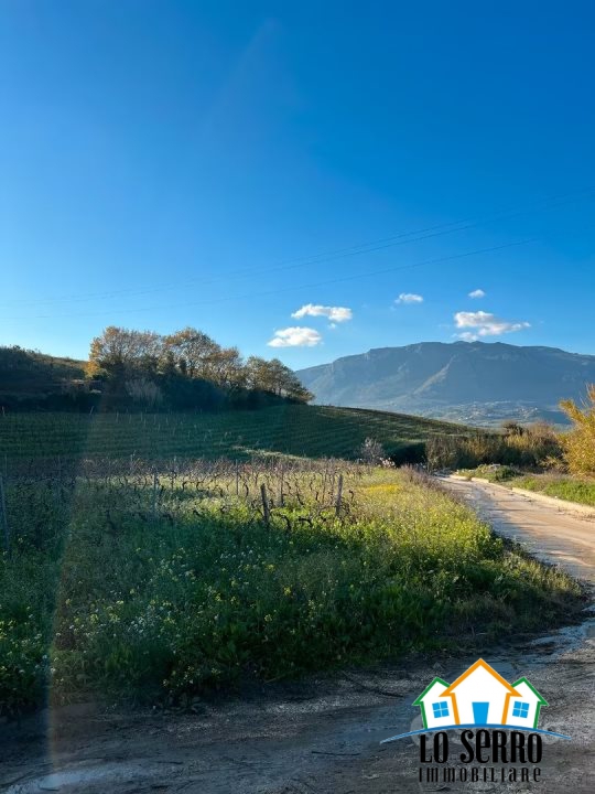 immagine annuncio 2 di 3